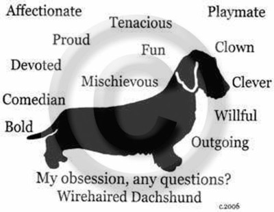 Dachshund Dog Wire Doxie Obsession, Any Question T-shirt Choices