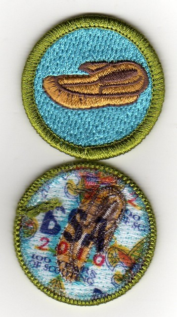 Leatherwork Merit Badge, Type K, "BSA 2010" Back (2010-12), Mint! | eBay