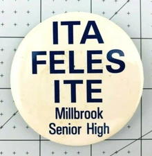 Vintage Millbrook High School Pinback Button Pins North Carolina  *Mo
