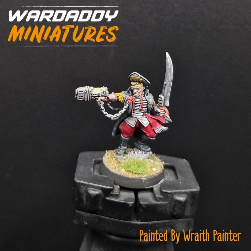 Pro Painted Warhammer 40k Officer Perfectus Commissar Games Workshop