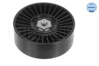 Meyle 100 145 0101 Umlenk-/FüHrungsrolle, Keilrippenriemen FüR Ford, Seat, Vw