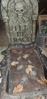 Picture 11 of 23