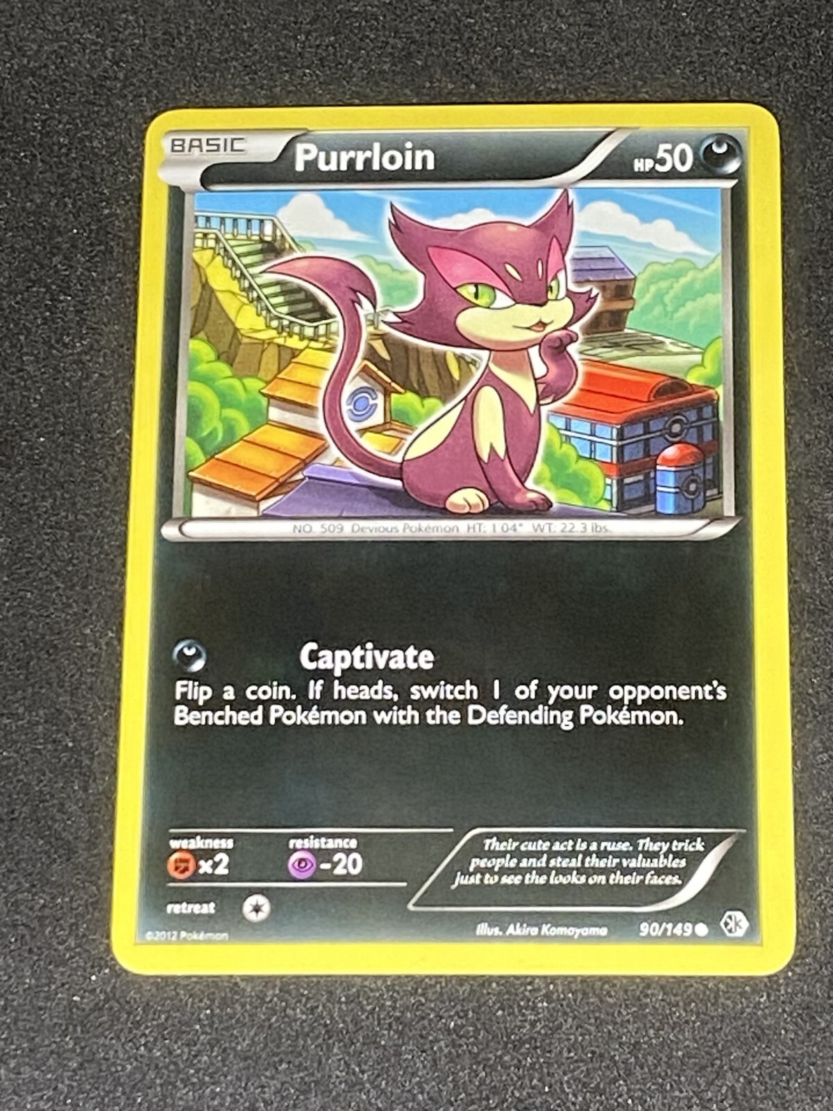 NM Purrloin 90/149 Boundaries Crossed Regular