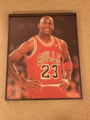 chicago bulls no 23