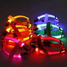 Rechargeable USB Chest Harness Led Pet Dog Glow Flashing Light-Up Night Safety
