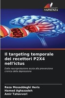 Il Targeting Temporale Dei Recettori P2X4 Nell'ictus Hamed Aghazadeh