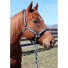 TuffRider Nylon Breakaway Halter  Lead Rope Set
