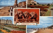 Hastings England St Leonards-on-Sea Dachshund dogs multiview ~ postcard sku859