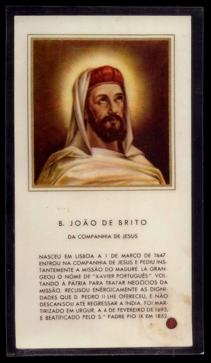 Senhor da Costa, One Piece Wiki
