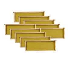 10 Assembled Beehive Frames with Waxed Natural Foundations for Beekeeping, 6-1/4