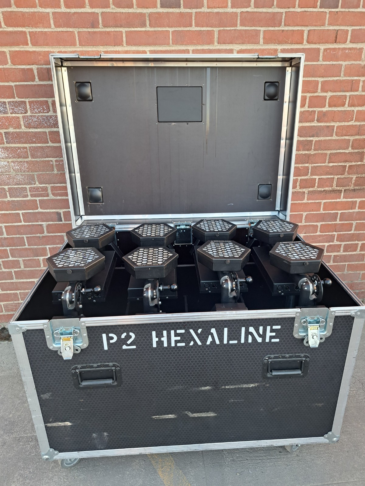 Portman Lights P2 Hexaline Halogen Pixel Effect Light with Road Case