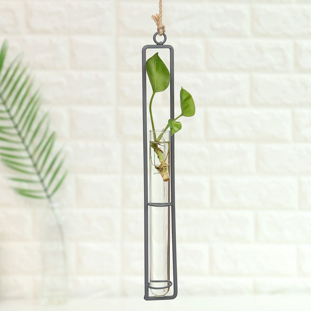Clear Hanging Glass Planter for Hydroponic Propagation and Wall Terrariums