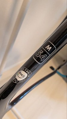 FUJI Track Elite Carbon Track Bike Frameset Size M 54 USED | eBay