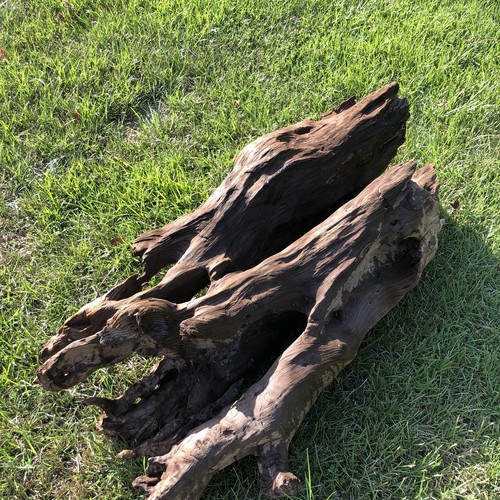 Xtra Large Driftwood Beautiful Aquarium Decor 38x18x10 Real Wood Holes Terrarium - Picture 21 of 23
