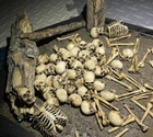 1/12 Scale Action Figure Skull Model Human Skeleton Scene Accessory Display Toys