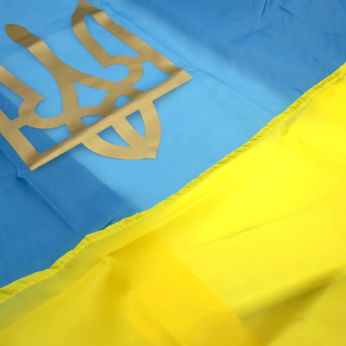 Flag of Ukraine  with a trident💛💙Support to Ukraine! - Picture 7 of 8