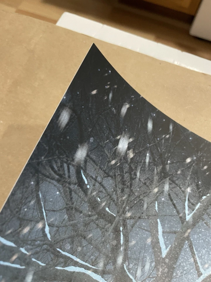 SOLO EN CASA Y 2 póster SET KEVIN WILSON serigrafía estilo Mondo números coincidentes Foto 4 de 4