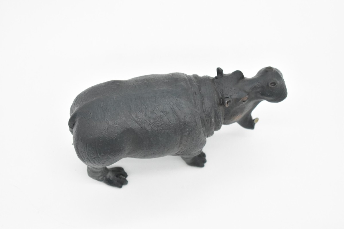 Hippo Toy, Africa, Model, Educate, Hippopotamus, Rubber