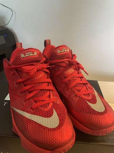 lebron 12 low university red