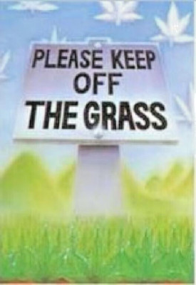 PLESE Keep Off The Grass POSTER  24 X 36  NOS