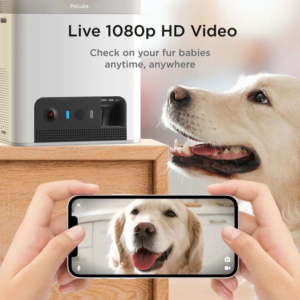 Petcube Bites 2 Lite Pet WiFi Monitoring Camera &Treat Dispenser 1080p HD - Image 2 of 4