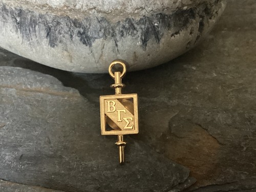 Pin de corbata insignia solapa sociedad honor empresarial Beta Gamma Sigma - Imagen 4 de 5