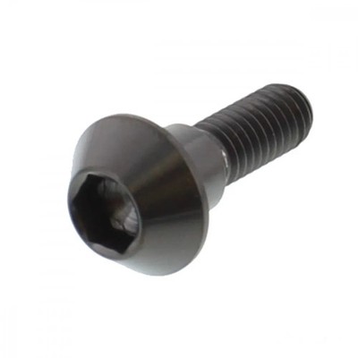 Bremsscheibenschraube hinten M6x1.00 Titan schwarz für Yamaha XP 500 SV T-Max 20