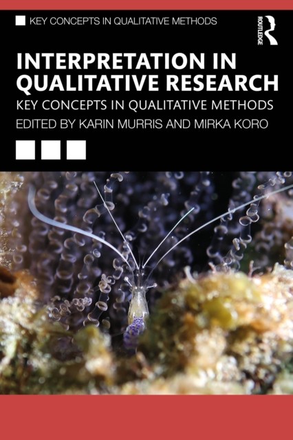 Interpretation in Qualitative Research (Paperback Book)