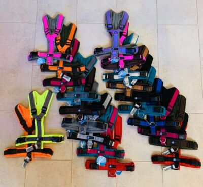 anny-x Brustgeschirr FUN / PROTECT  versch. Größen viele Farben Mantrailing