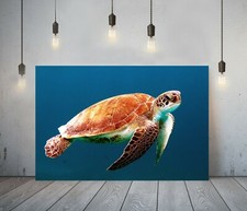 SEA TURTLE 1- DEEP FRAMED CANVAS WALL ART PICTURE PRINT- ANIMAL ORANGE BLUE
