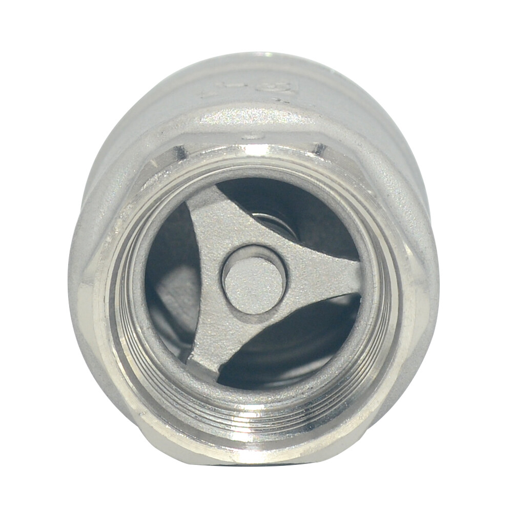 1 inch Vertical Check Valve NPT female Threaded Stainless Steel 1000psi