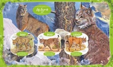 Lynx Luchs lince / wild cats 2020 m/s MNH #VG2759 IMPERF