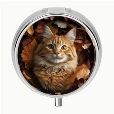 Orange Cat pill box medicine Trinket NEW Free Ship 2 Inch Stocking Stuffer 