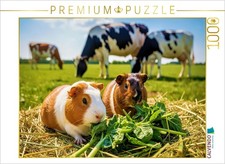 CALVENDO Puzzle Fressen mit den Kühen. | 1000 Teile Lege-Größe 64x48cm Foto-Puzz