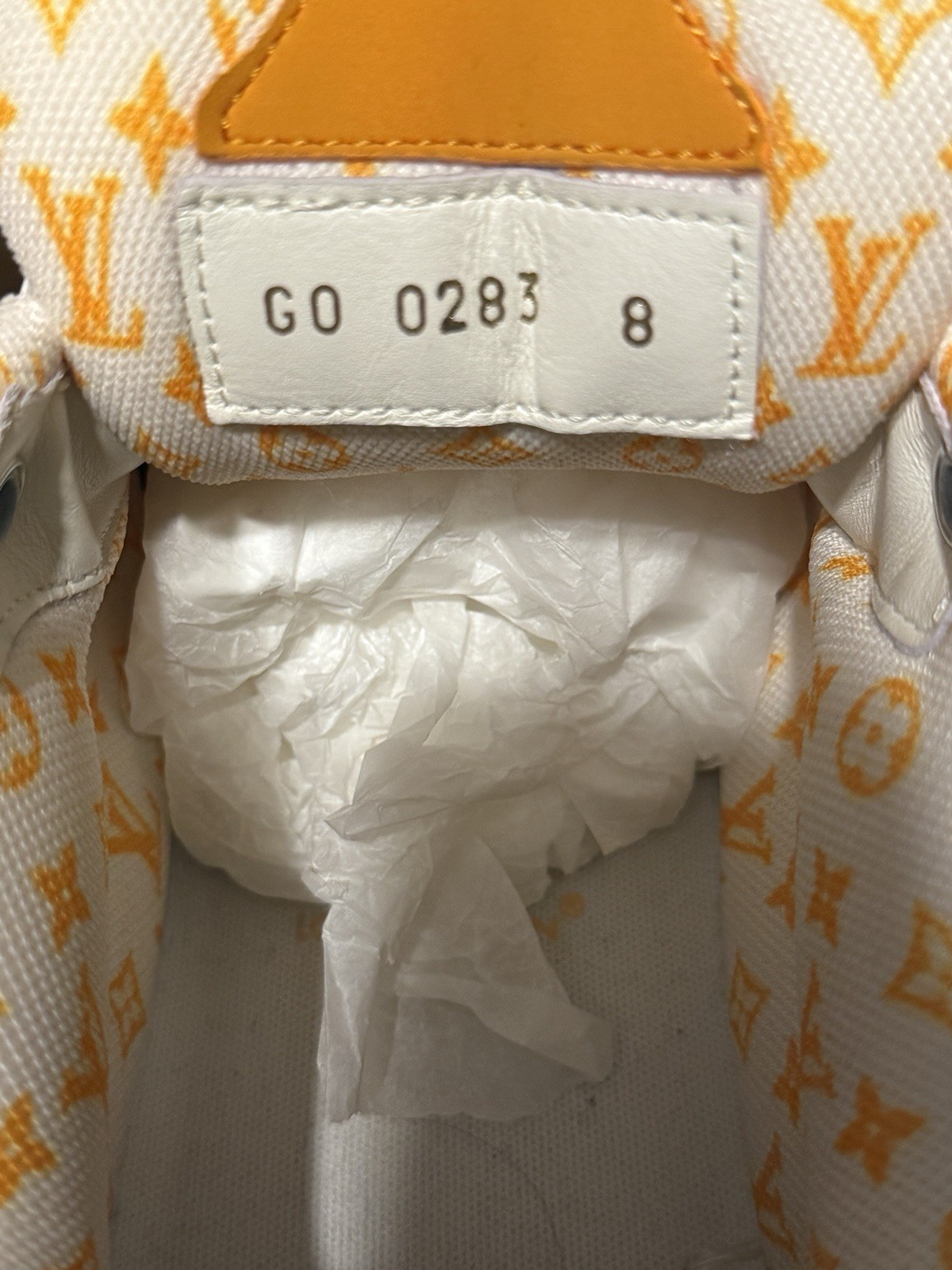 Louis Vuitton Sk8er Sneaker LV 8 (US 9) image 5