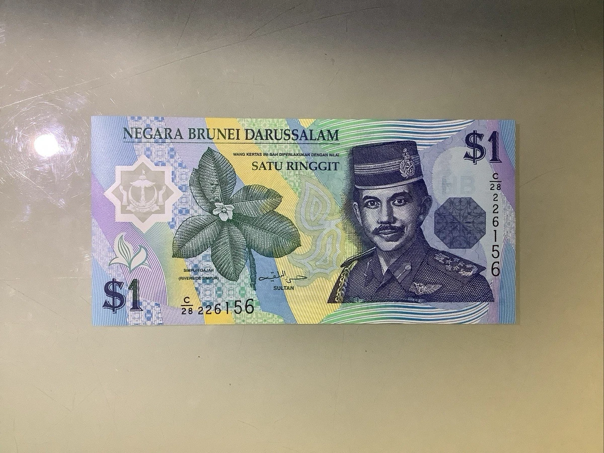 1996 聚合物说明世界纸币| eBay