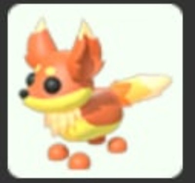 Flaming Fox | NFR | MFR | Adopt Now