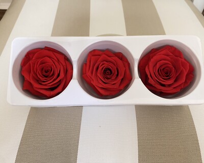Preserved Roses - AAA Grade - REAL PRESERVED ROSES - LASTS 5+ YEARS | eBay