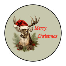 30 Merry Christmas deer envelope seals, stickers labels, tags, round