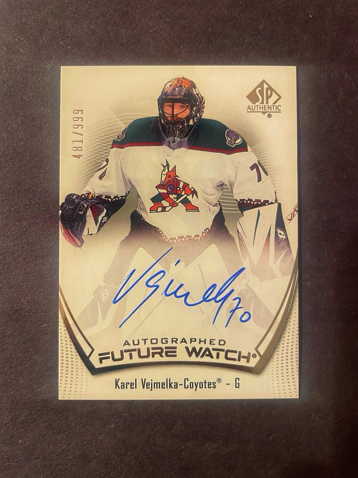 2021-22 SP Authentic KAREL VEJMELKA “Future Watch” Rookie Auto Autograph /999!