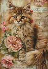 ❤ CARTOLINA_10 x 14,5 cm_GATTO_fiori_vintage_CARTOLINA_GATTINO_CAT_Maine Coon