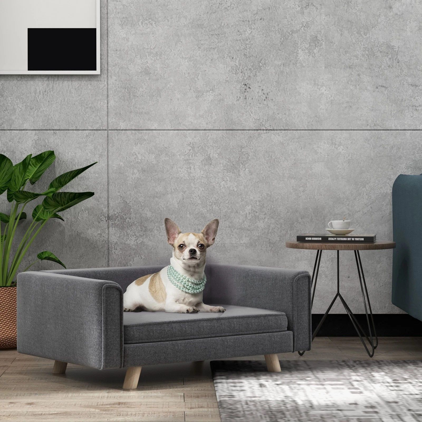 Elevated Dog Couch for Medium and Small Dogs with Cushion, Grey