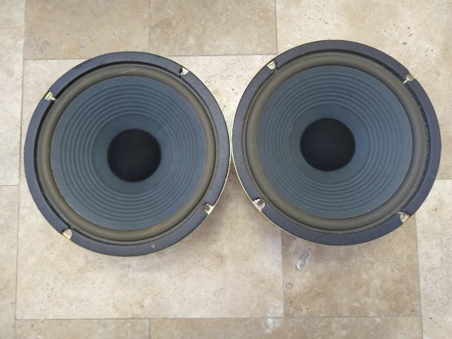 woofer 20w