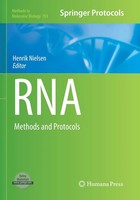 Henrik Nielsen | Rna | Taschenbuch | Englisch (2017) | Methods And Protocols