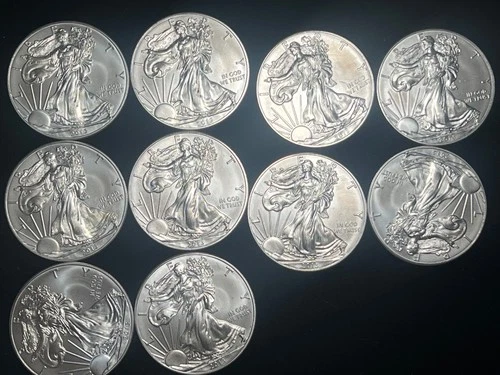 2013 American Eagle Silver Coin-BU in Clear Flip  Ready To Fly Off To Your Place