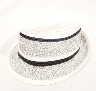 New Bcbgmaxazria White Black Gray Stripe Fedora Hat - One  display picture 3