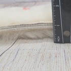 Picture 6 of 9