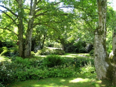 Photo 6x4 The garden - Lanhydrock Cutmadoc The gardens are extensive ...