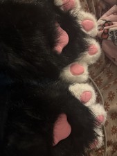 Hand made Fur Paws Black White and Pink