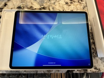 Apple iPad Pro 12.9'' 4th Gen A2229 256GB Wi-Fi Space Gray READ DESCRIPTION